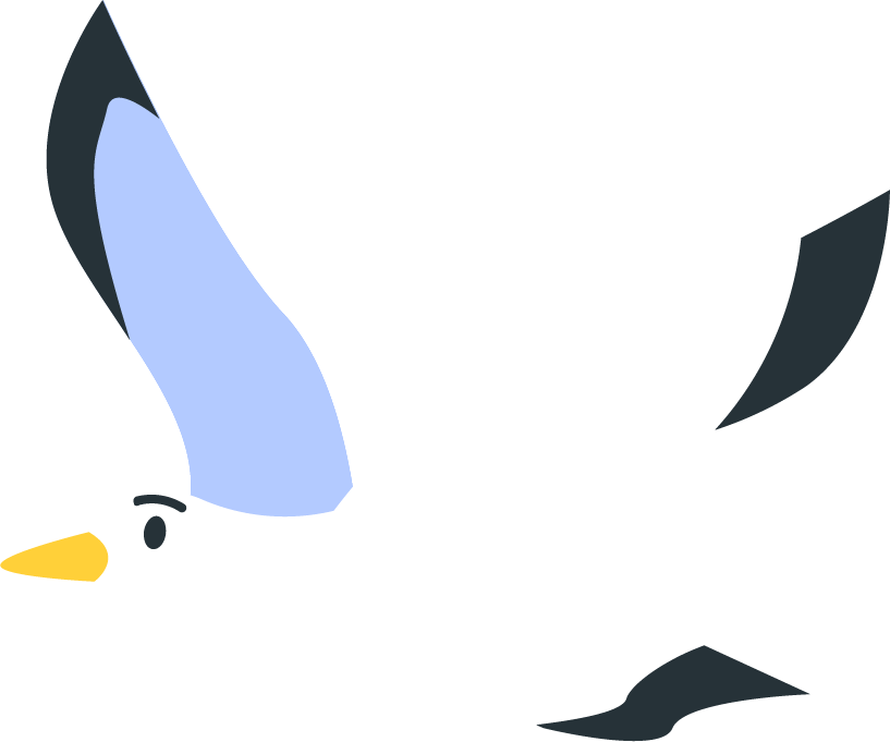 Illustration d'une mouette